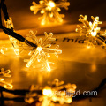 سلسلة ضوء زهر الكرز LED Solar